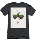 1 Grasshopper of Six Points Locusta Sexpunctata Illustrated By Charles Dessalines D Orbigny 1806 1 Celestial Images T-Shirt