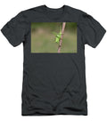 1 Great Green Bush Cricket on Stem Suffolk England UK Robin Chittenden Natureplcom T-Shirt