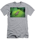 1 Pholidoptera Griseoaptera Dark Bush Cricket Insect Frank Ramspott T-Shirt