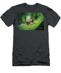 10 Pholidoptera Griseoaptera Dark Bush Cricket Nymph Insect Frank Ramspott T-Shirt