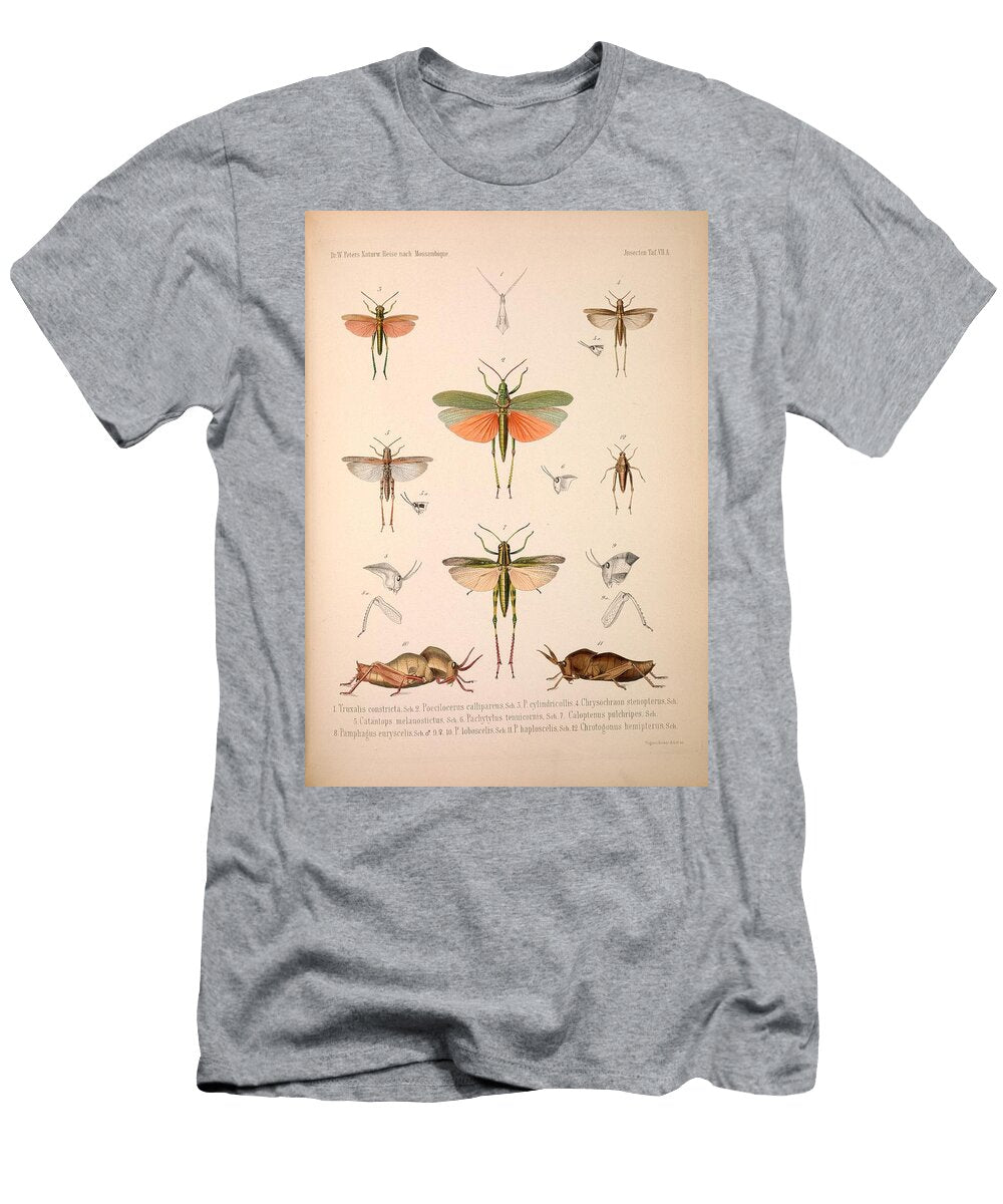 103 Insects Beautiful Nature Prints T-Shirt