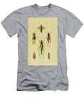 117 Insects Beautiful Nature Prints T-Shirt