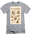 125 Insects Beautiful Nature Prints T-Shirt