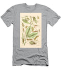 126 Insects Beautiful Nature Prints T-Shirt