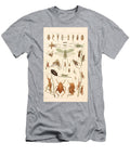 127 Insects Beautiful Nature Prints T-Shirt