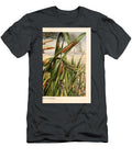 136 Insects Beautiful Nature Prints T-Shirt