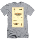 141 Insects Beautiful Nature Prints T-Shirt