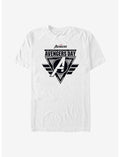 Marvel Avengers Avengers Day T-Shirt