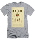 148 Insects Beautiful Nature Prints T-Shirt