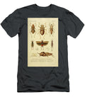 149 Insects Beautiful Nature Prints T-Shirt