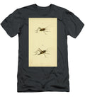 15 Insects Beautiful Nature Prints T-Shirt