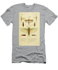 150 Insects Beautiful Nature Prints T-Shirt