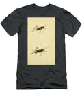 16 Insects Beautiful Nature Prints T-Shirt