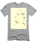 172 Insects Beautiful Nature Prints T-Shirt