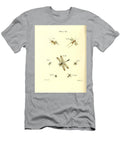 174 Insects Beautiful Nature Prints T-Shirt