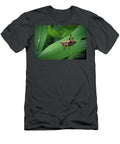 2 Pholidoptera Griseoaptera Dark Bush Cricket Nymph Insect Frank Ramspott T-Shirt