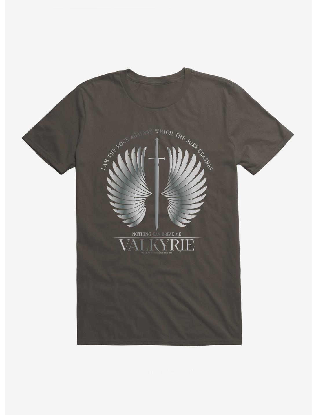 A Court Of Silver Flames Valkyrie Wings T-Shirt