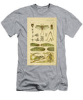 23 Insects Beautiful Nature Prints T-Shirt