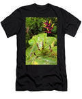 3 Katydid Bush Cricket Camouflaged Amongst Cloud Forest Alex Hyde Natureplcom T-Shirt