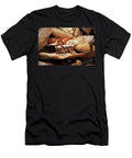 3 Pholidoptera Griseoaptera Dark Bush Cricket Insect Frank Ramspott T-Shirt