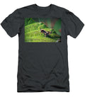 3 Pholidoptera Griseoaptera Dark Bush Cricket Nymph Insect Frank Ramspott T-Shirt