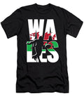 3 Wales Rugby 2019 Fans Kit for Welsh Supporters Players Coaches and Rugger Football Lovers Martin Hicks T-Shirt