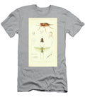 30 Insects Beautiful Nature Prints T-Shirt