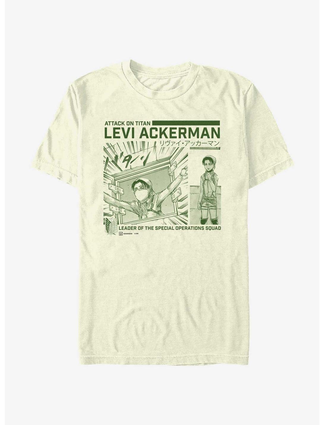 Attack on Titan Cleaning Levi T-Shirt Hot Topic Web Exclusive