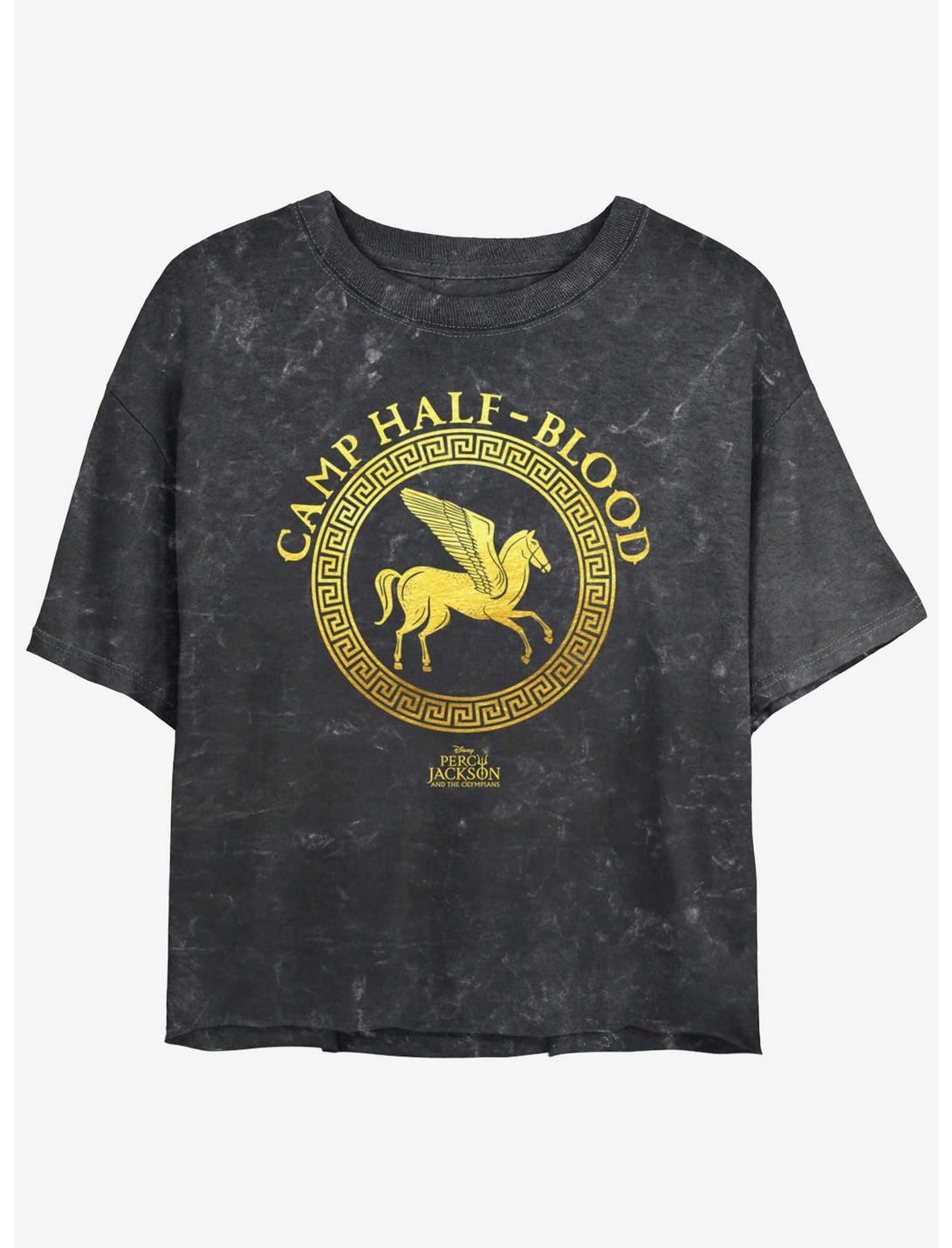 Disney Percy Jackson And The Olympians Camp Half Blood Emblem Logo Mineral Wash Girls Crop T-Shirt