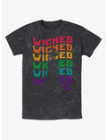 The Wizard Of Oz WB Wavy Wicked Silhouette Mineral Wash T-Shirt