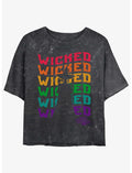 The Wizard Of Oz Wavy Wicked Silhouette Mineral Wash Crop T-Shirt