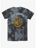 Harry Potter Vintage Logo Tie-Dye T-Shirt