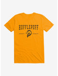 Harry Potter Hufflepuff Quidditch Symbol T-Shirt