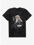 Avatar: The Last Airbender Appa Yip Yip Mineral Wash T-Shirt