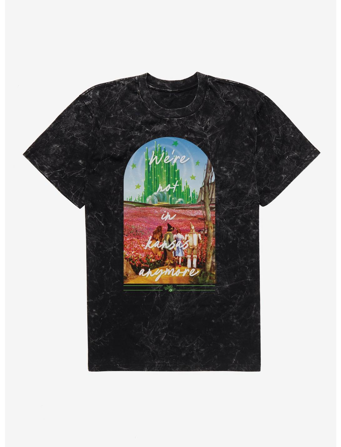 The Wizard Of Oz We're Not In Kansas Anymore Mineral Wash T-Shirt
