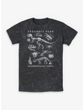 Jurassic Park Flora & Fauna Mineral Wash T-Shirt