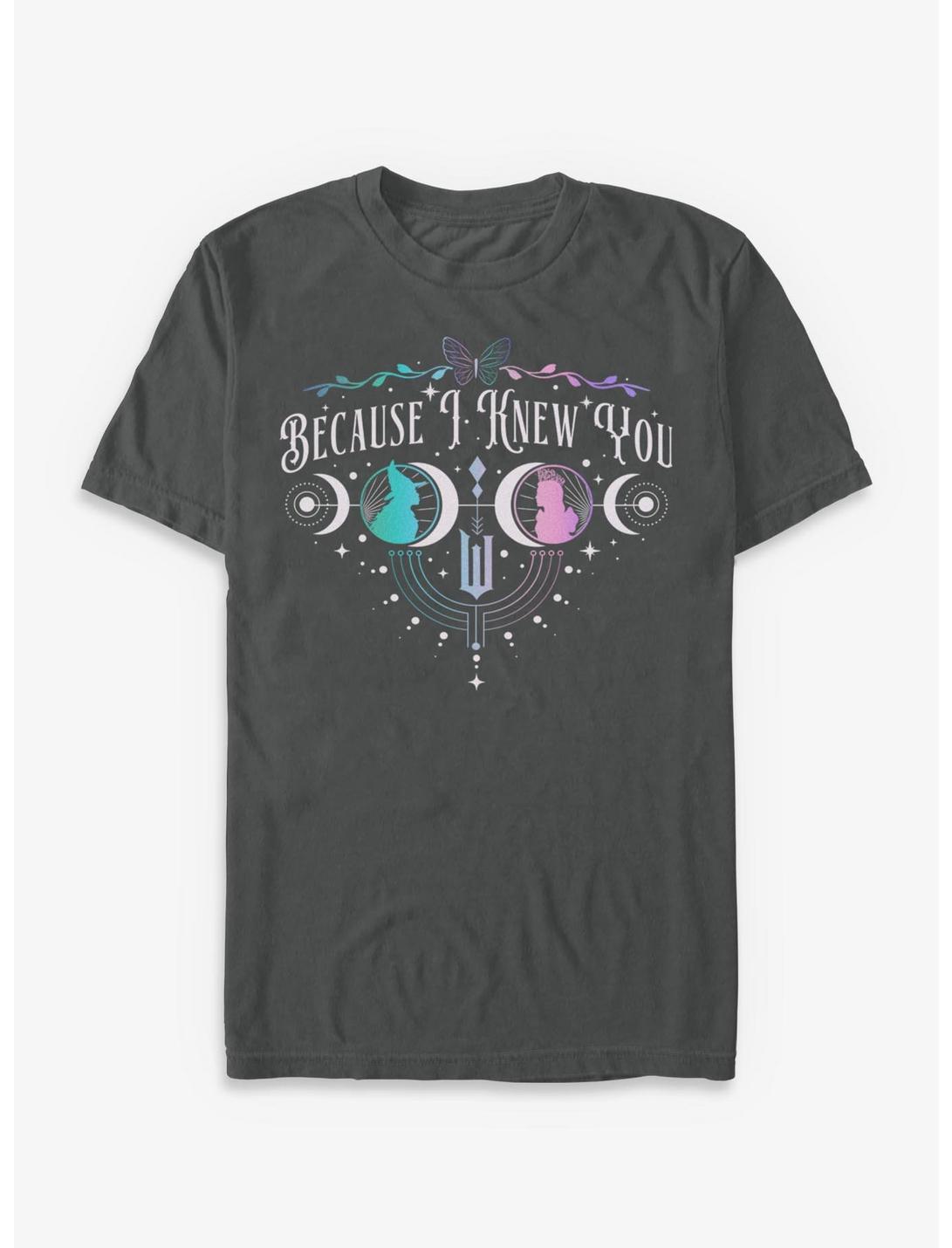 Wicked: For Good Because I Knew You Glinda & Elphaba Moon & Stars Garment Dye T-Shirt Hot Topic Exclusive