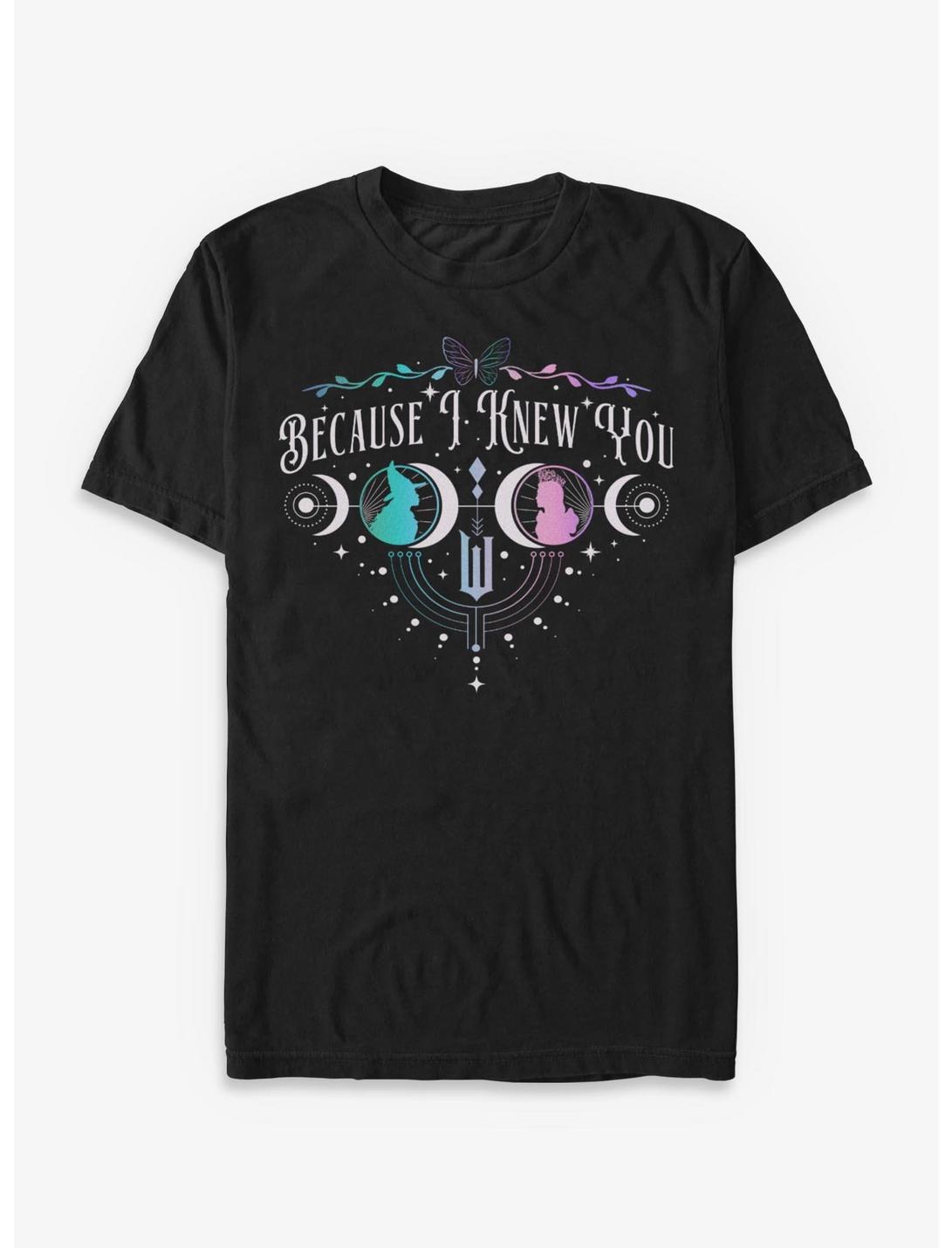 Wicked: For Good Because I Knew You Glinda & Elphaba Moon & Stars T-Shirt Hot Topic Exclusive