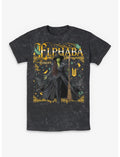 Wicked: For Good Elphaba Thropp Ornate Portrait Mineral Wash T-Shirt Hot Topic Exclusive