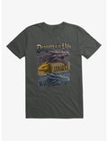 Fourth Wing The Empyrean Dragons Of The Vale Placards T-Shirt