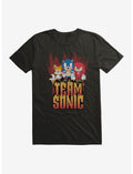 Sonic The Hedgehog Hedgy Metal Team Sonic T-Shirt