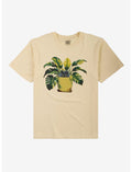 Cat Potted Plant T-Shirt By Call Your Mother