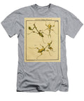 38 Insects Beautiful Nature Prints T-Shirt