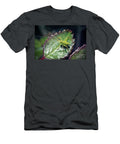 4 Leptophyes Punctatissima Speckled Bush Cricket Nymph Insect Frank Ramspott T-Shirt