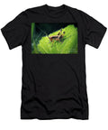 4 Pholidoptera Griseoaptera Dark Bush Cricket Nymph Insect Frank Ramspott T-Shirt