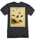 44 Insects Beautiful Nature Prints T-Shirt