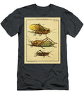 47 Insects Beautiful Nature Prints T-Shirt