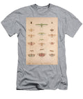 5 Insects Beautiful Nature Prints T-Shirt