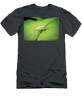 5 Leptophyes Punctatissima Speckled Bush Cricket Nymph Insect Frank Ramspott T-Shirt