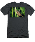 5 Pholidoptera Griseoaptera Dark Bush Cricket Insect Frank Ramspott T-Shirt